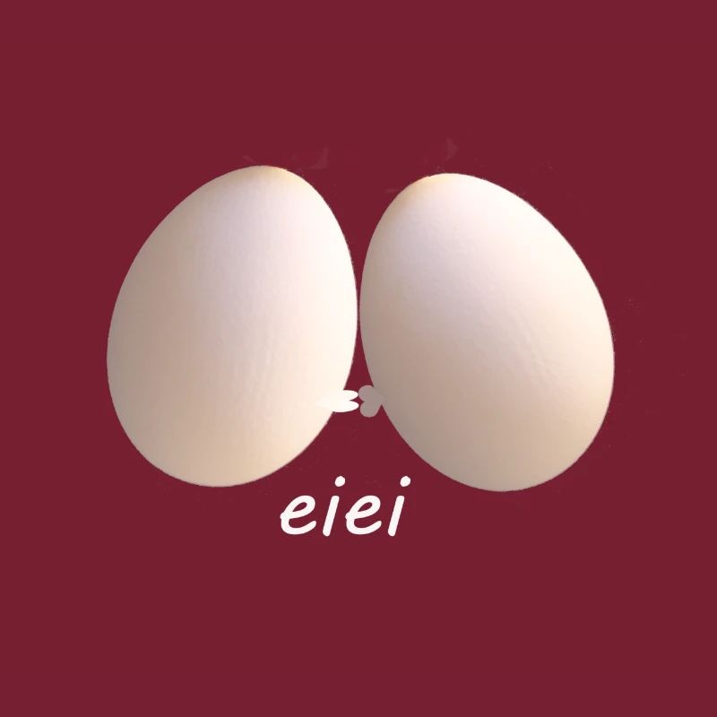 Eier