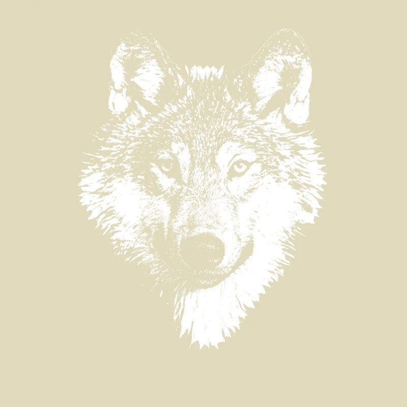 Weißer Wolf