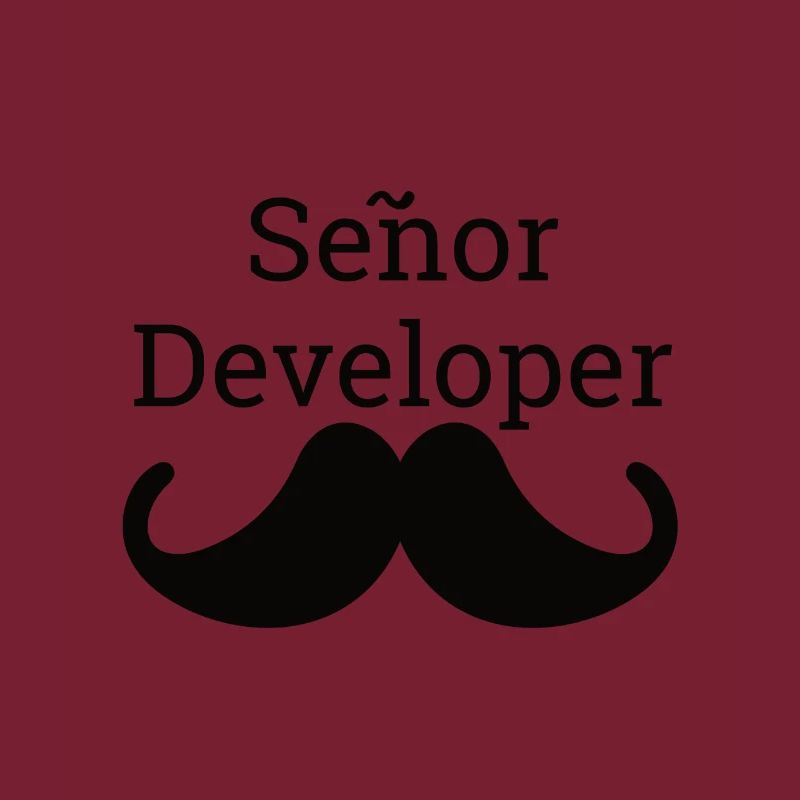 "Senor Developer, Senior Developer" |Programmierer