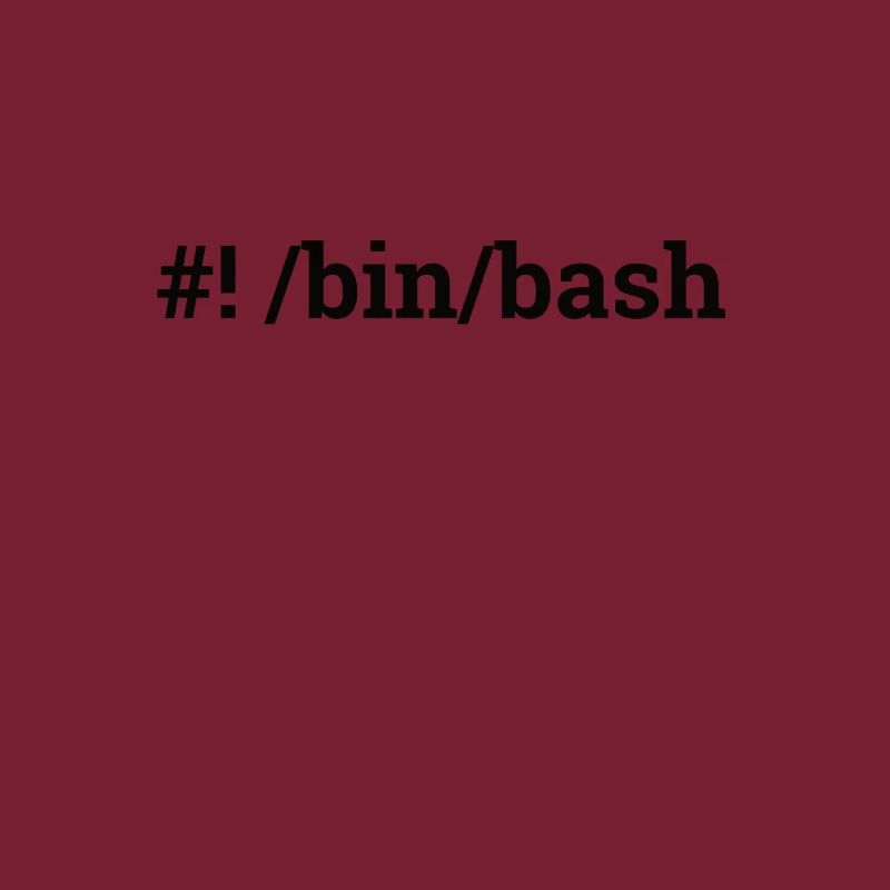 "/bin/bash" | Admin, Computer Science