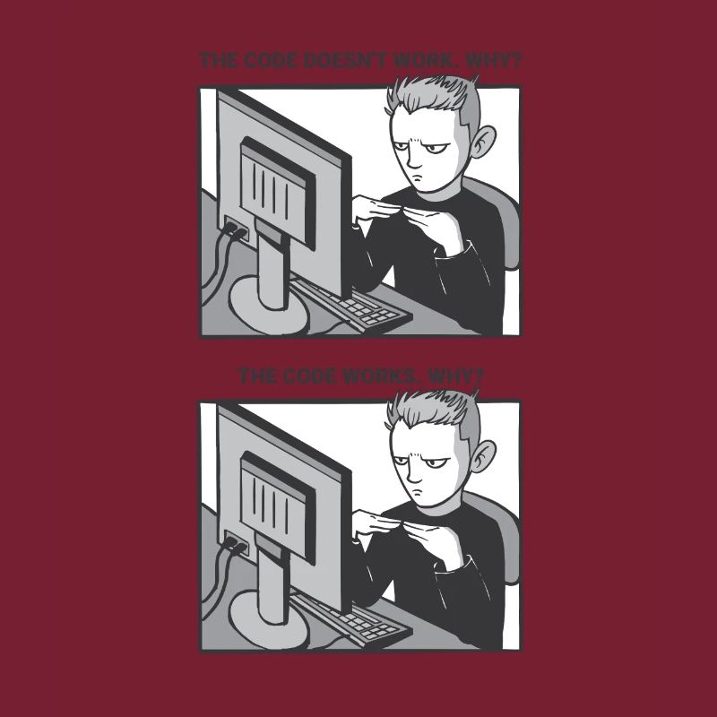 "My Code Works. WHY?" | Programmer