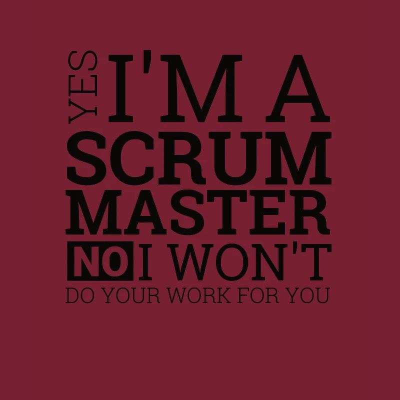 "Scrum Master" | Programmierer
