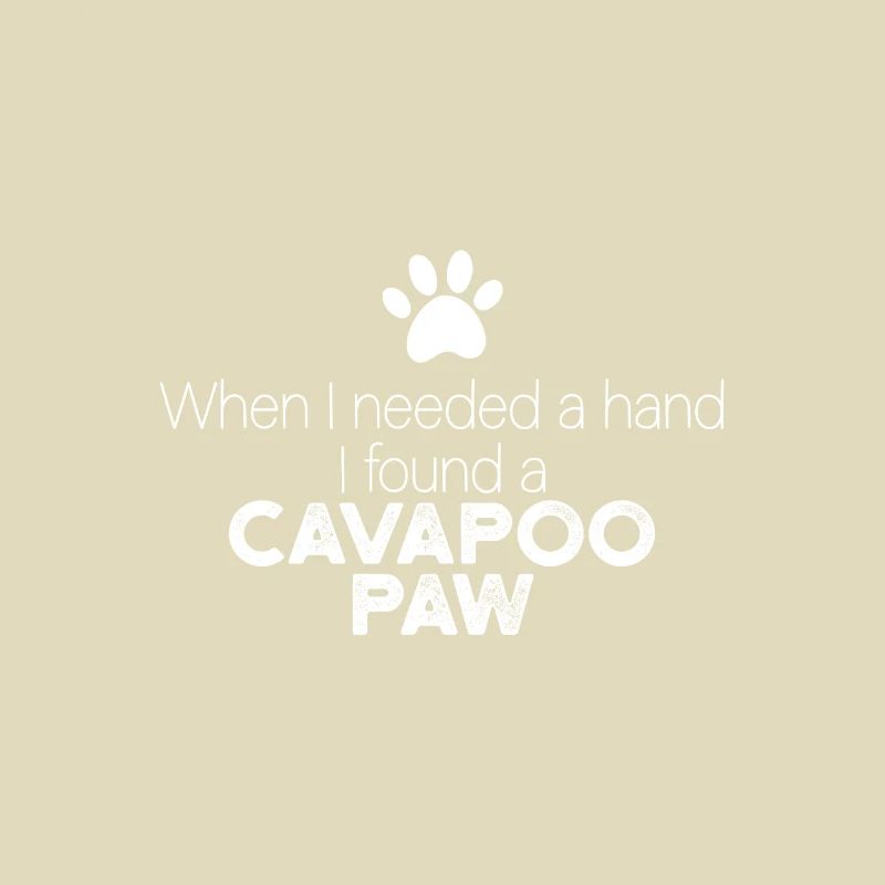 Main Cavapoo Paw