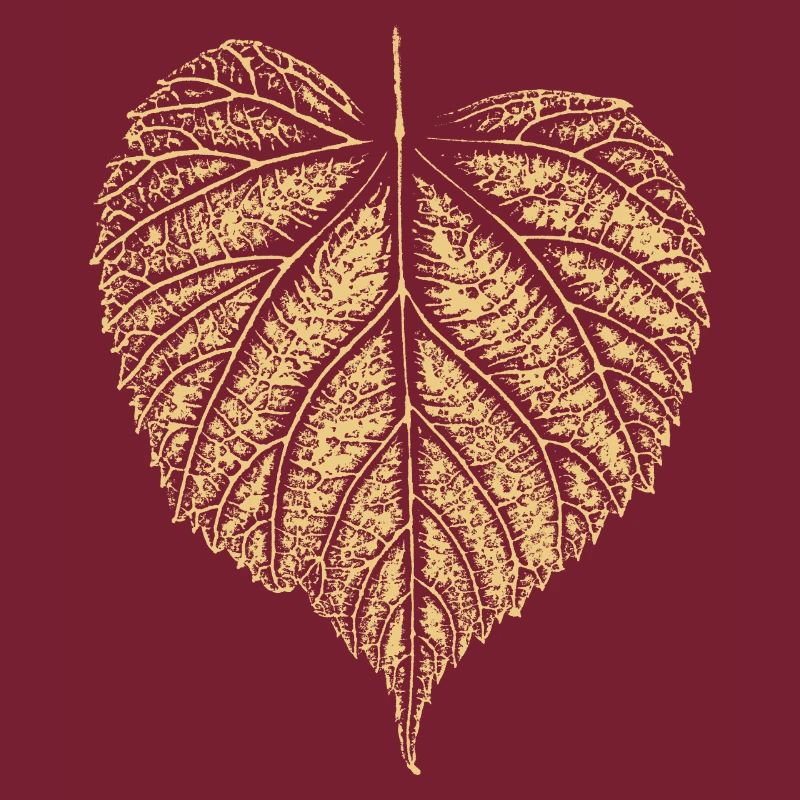 Lime Leaf / Lime Leaf - NATURE & Forest
