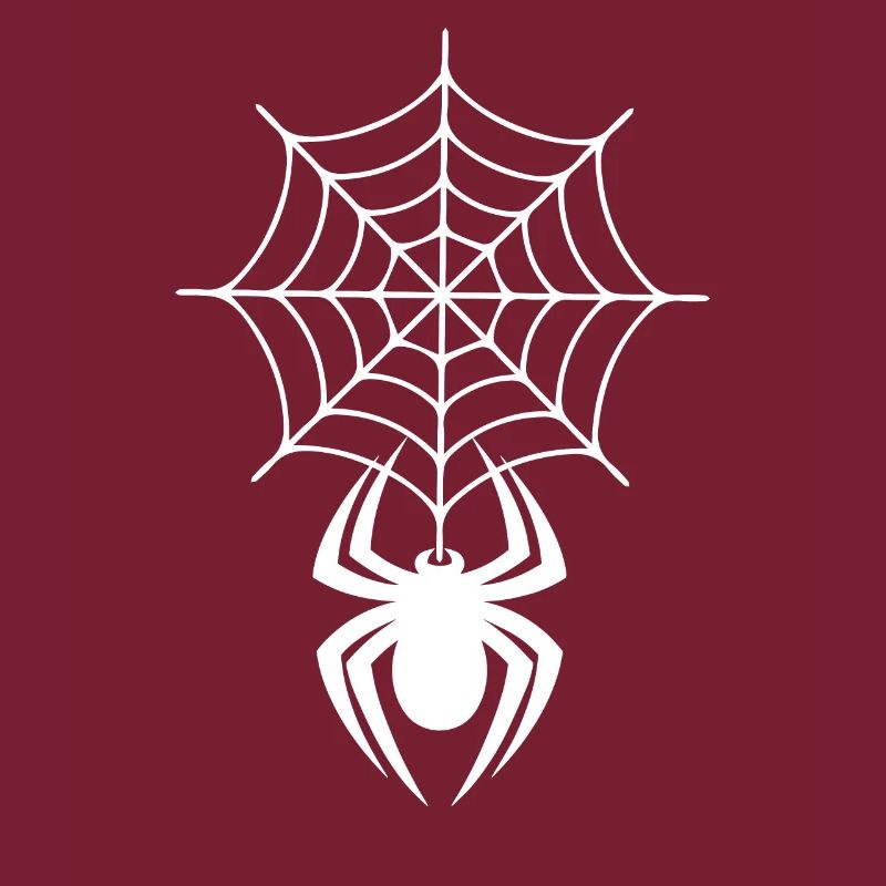 Cobweb with spider