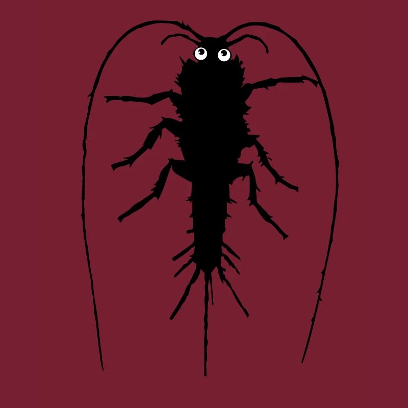 Silberfischchen
