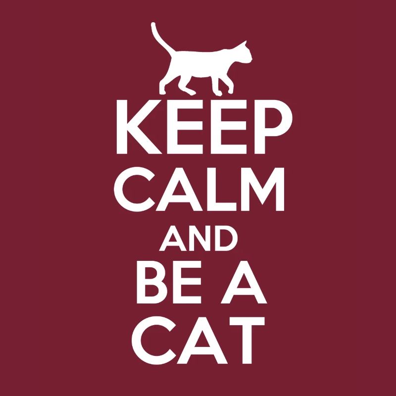 Keep calm and be a cat!