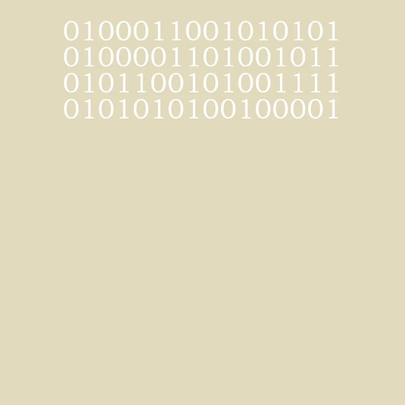 Binary code (FUCK YOU!)
