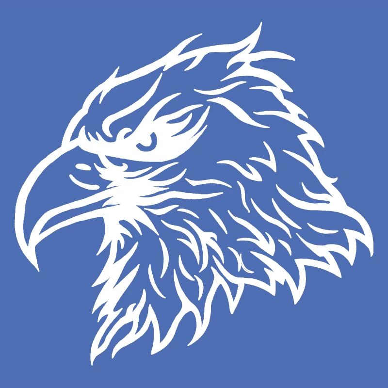 Cool Bald Eagle Eagle