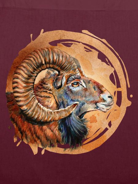 Mufflon | mouflon