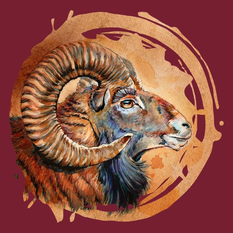 Mufflon | mouflon