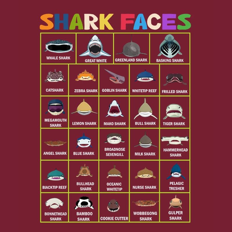 Types Of Shark Faces. Shark Face Identification