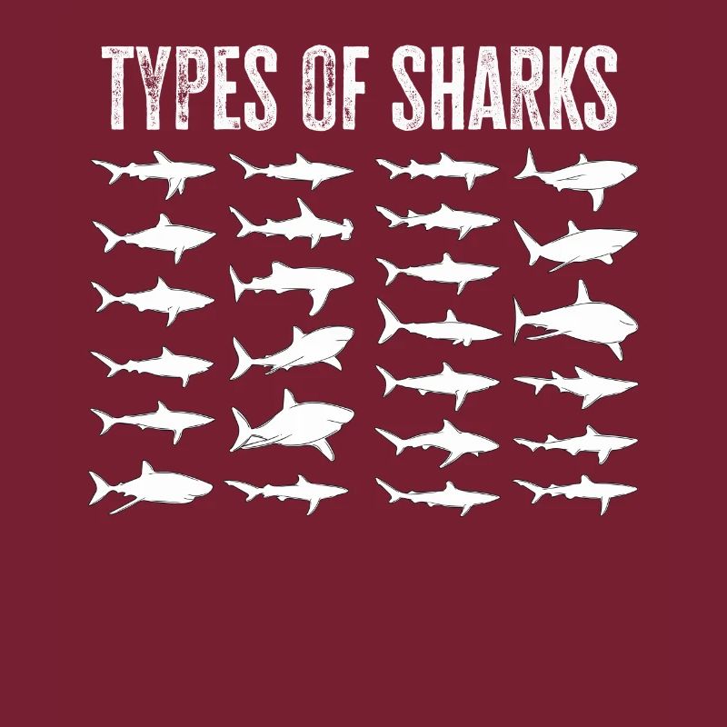 Types de requins