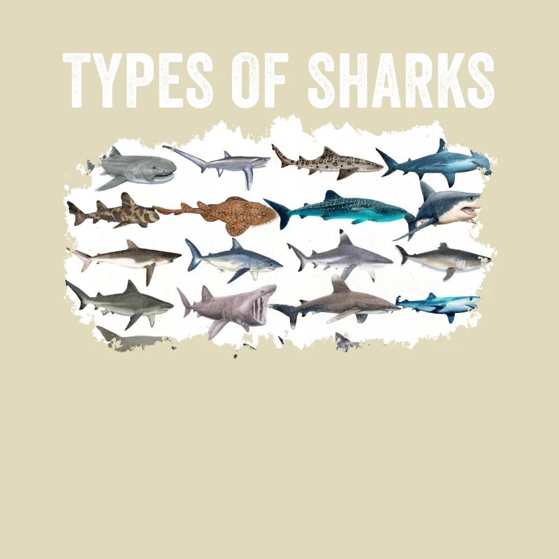 Types de requins