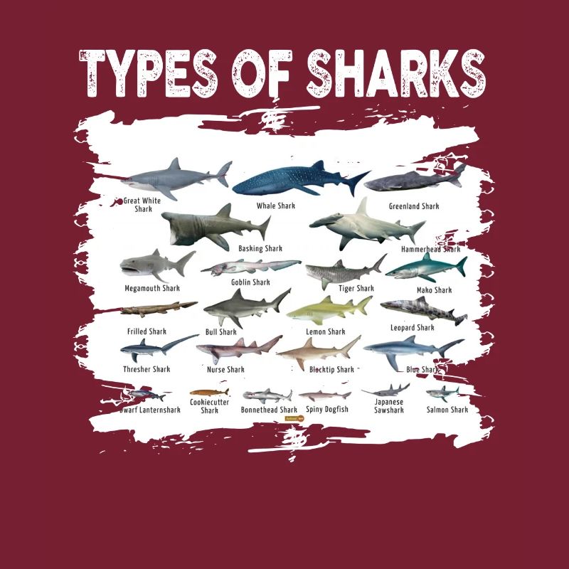 Types de requins