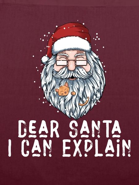 Dear Santa I Can Explain