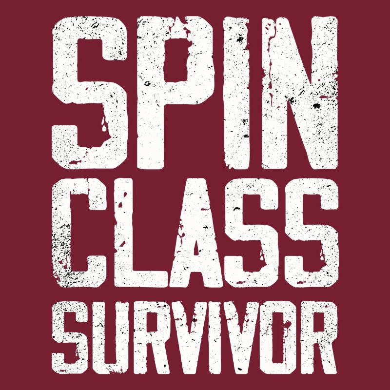 Survivant de la classe Spin