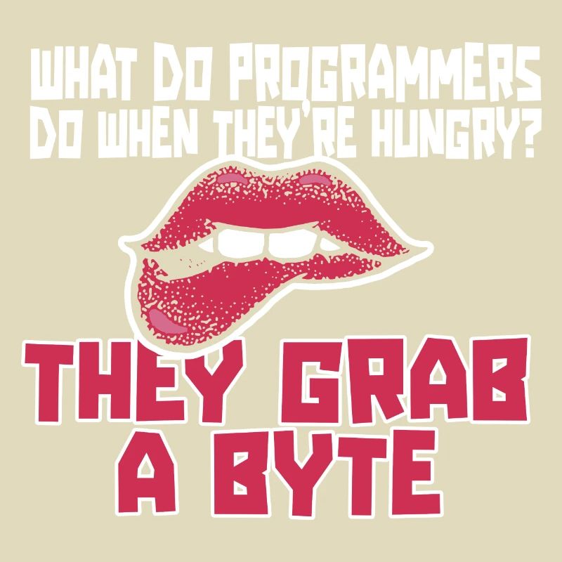 Programmer Coder Software Developer