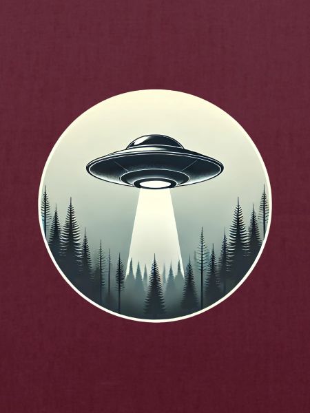 UFO-Begegnung im Wald