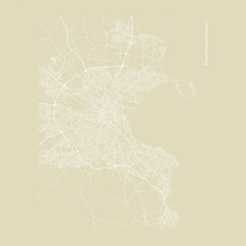 Minimal Dublin city map and streets