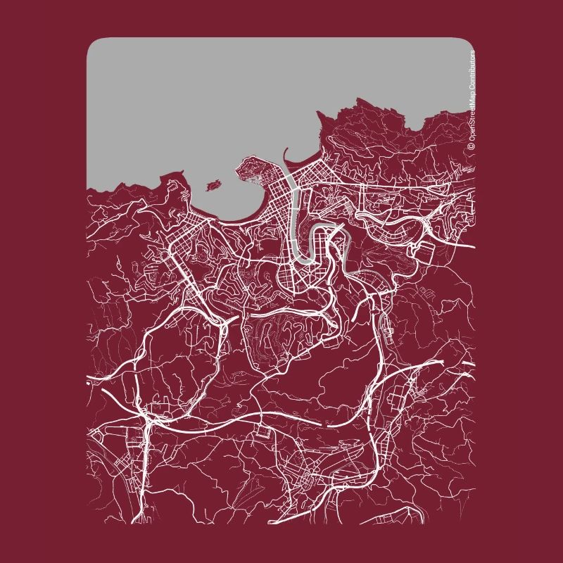 Plan et rues de Donostia