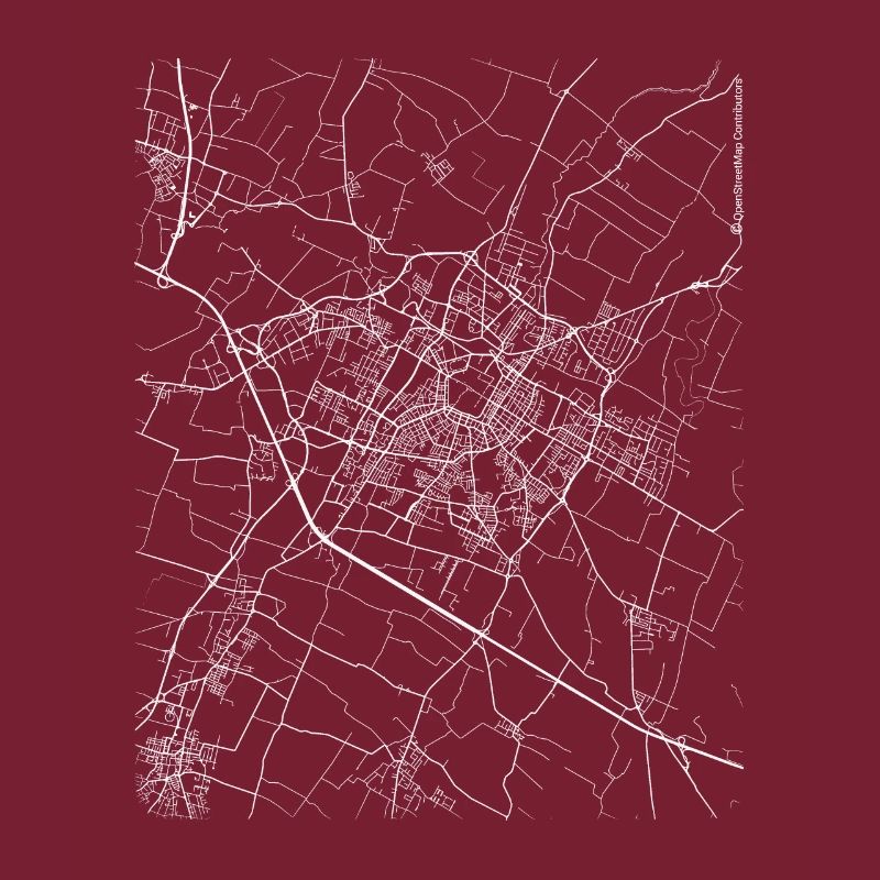 Plan et rues de Modène