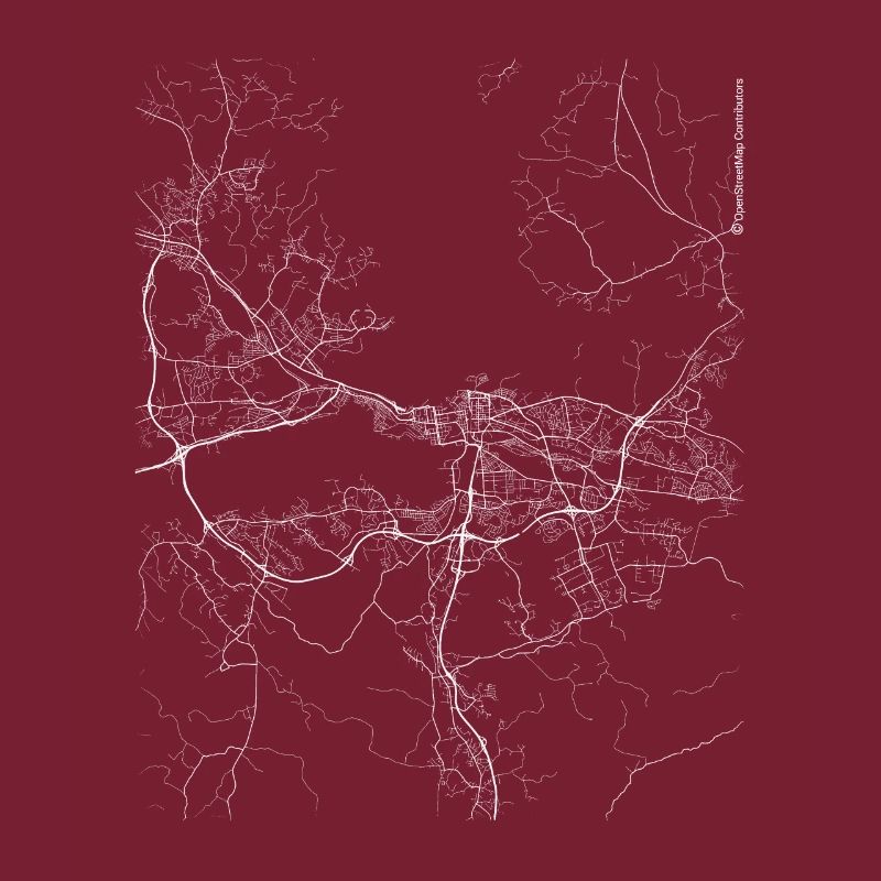 Plan et rues de Tampere