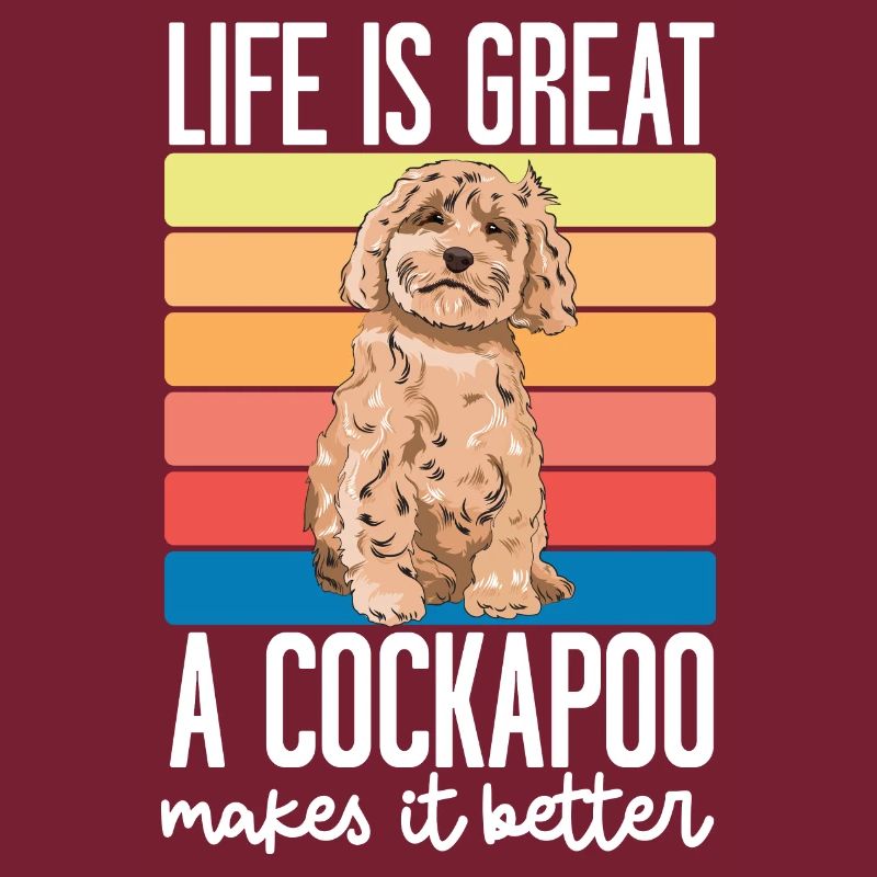 Cockapoo Hund