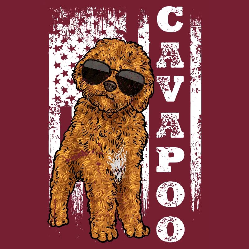 Cavapoo Cavoodle Capoodle Dog