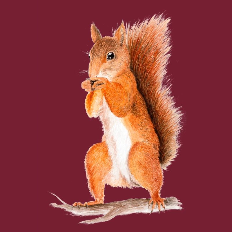 eichhörnchen
