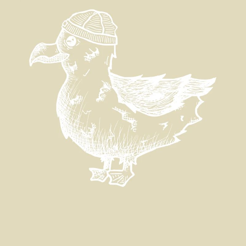Möwe Moin