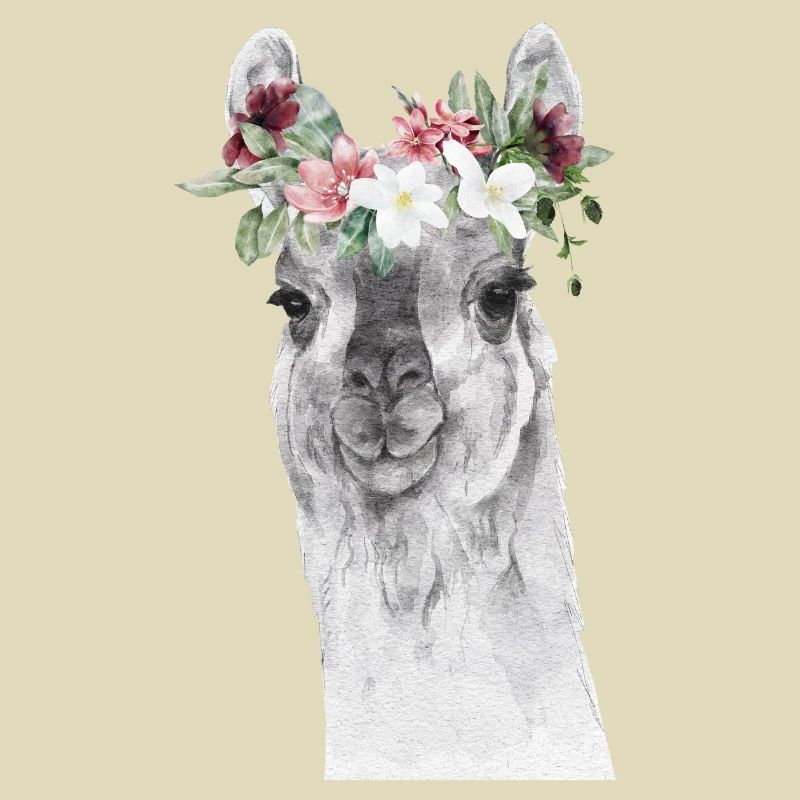Llama
