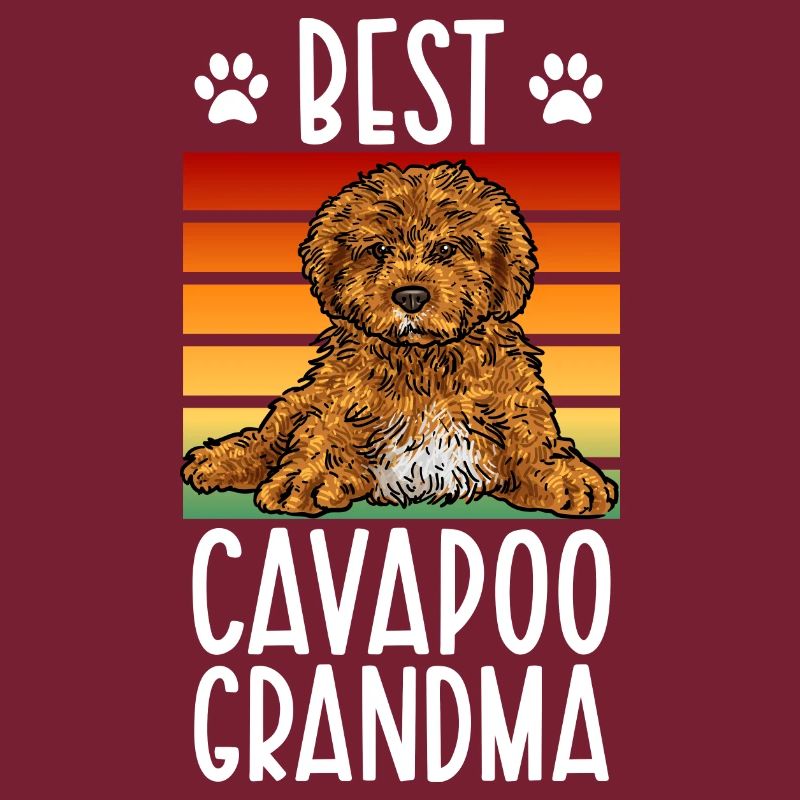 Cavapoo Cavoodle Capoodle Chien