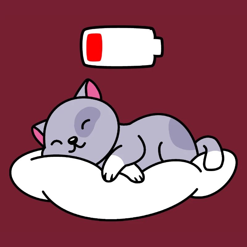 Cat Sleeping Cute