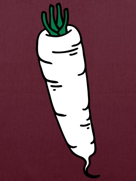 Radish radis