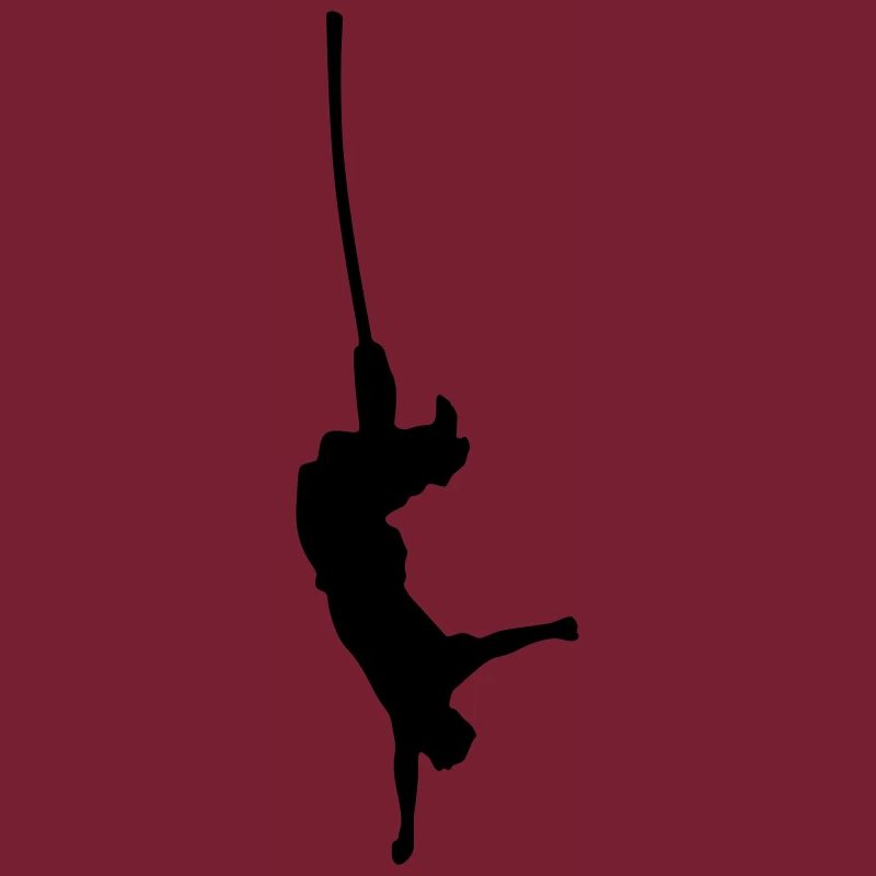 bungee jump
