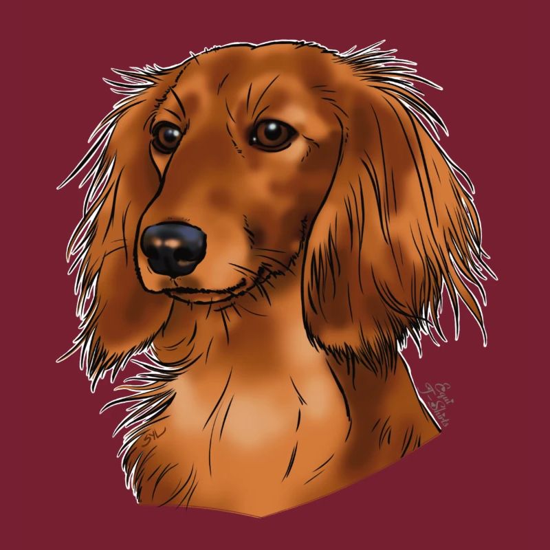 long haired dachshund (without text) dark textiles