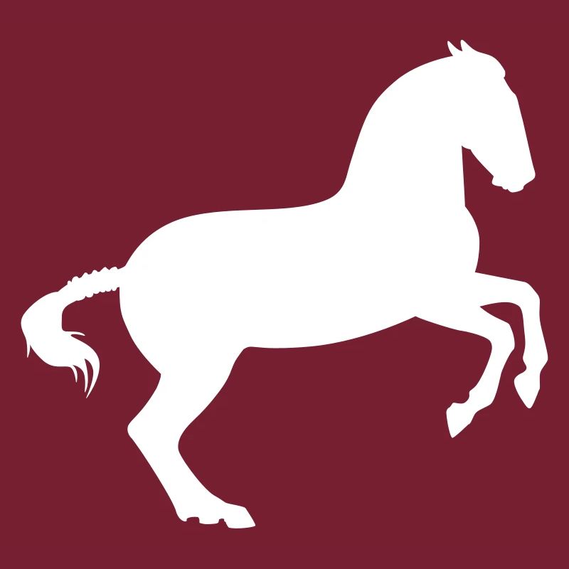 Working equitation Barockpferd