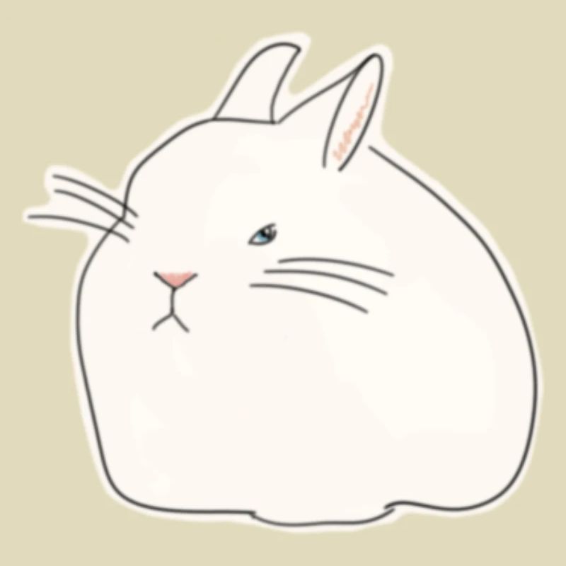 Lapin Sévère // Grumpy Rabbit