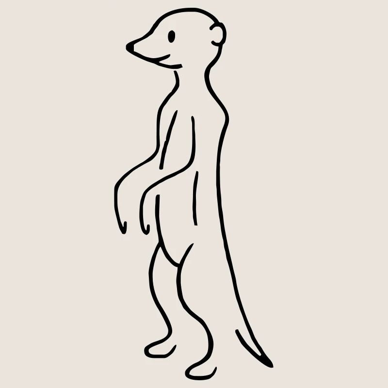Erdmännchen
