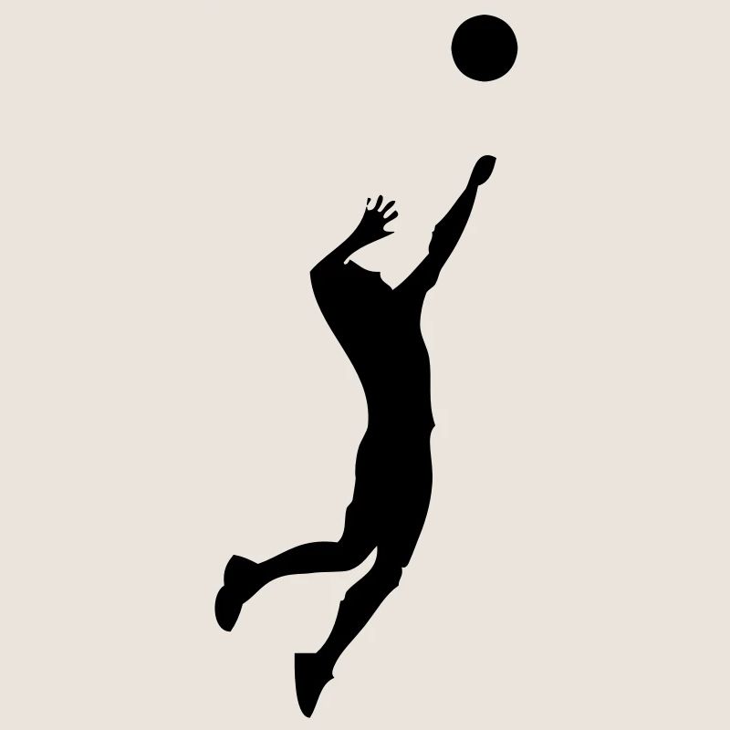 volleyball