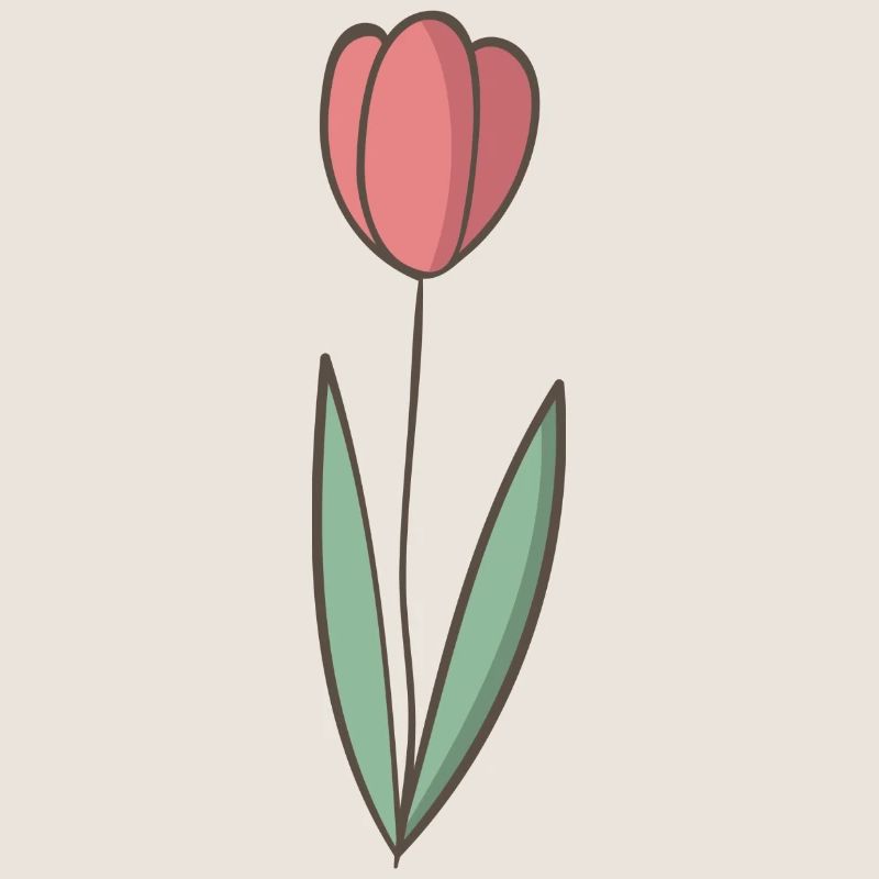 tulipe