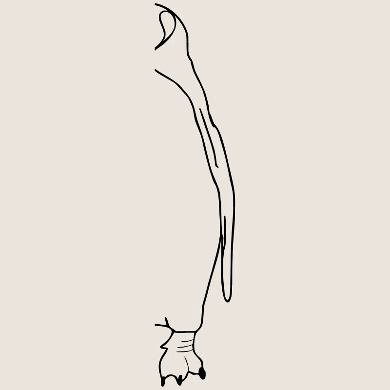 Pinguin Halb 2