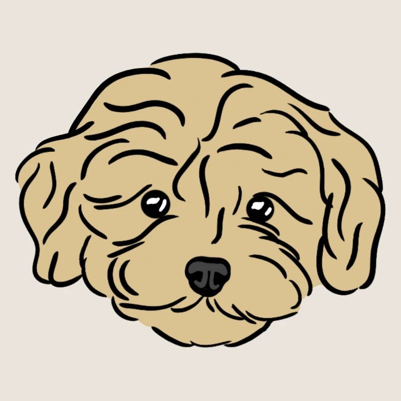Doodle Puppy