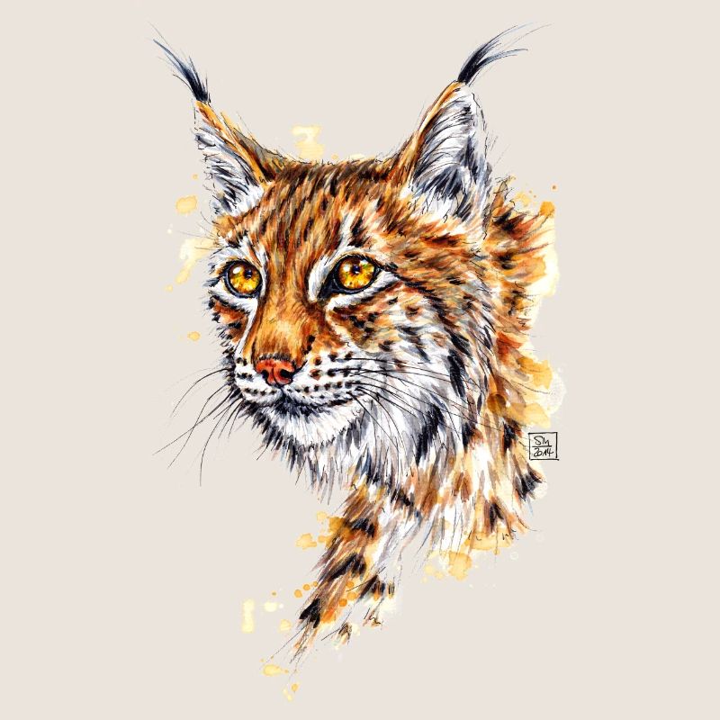 Luchs | lynx