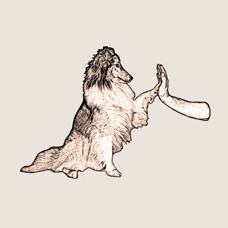 Sheltie Team