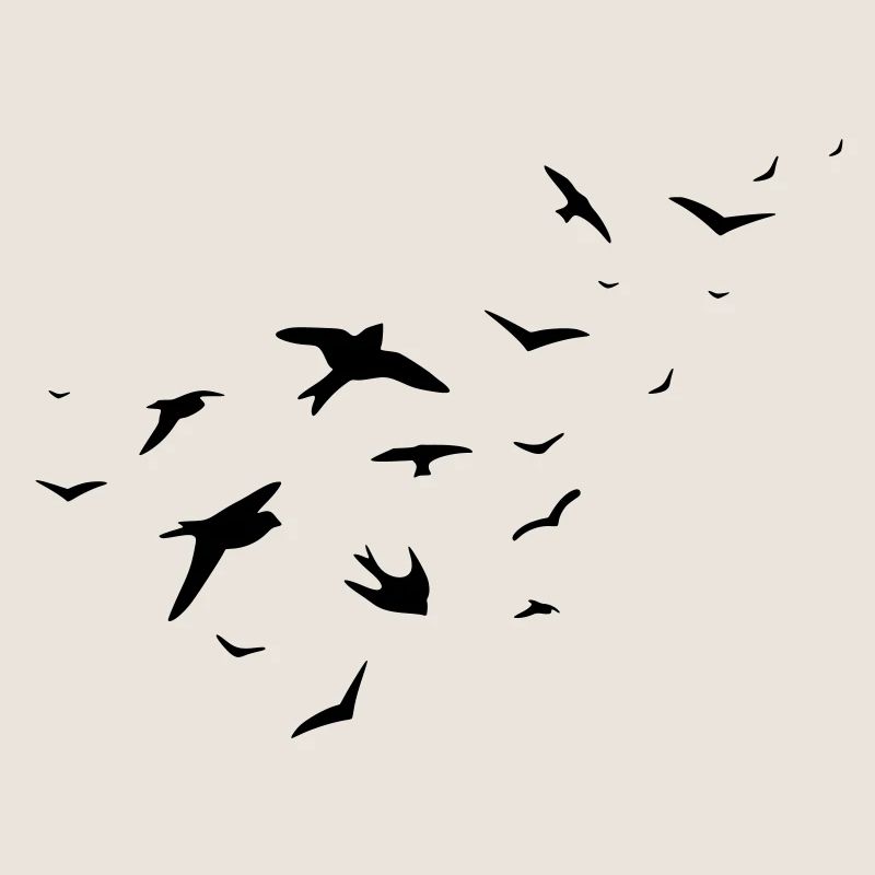 birds