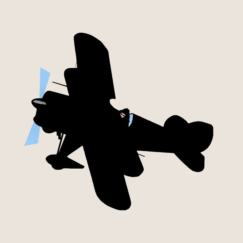 Flugzeug