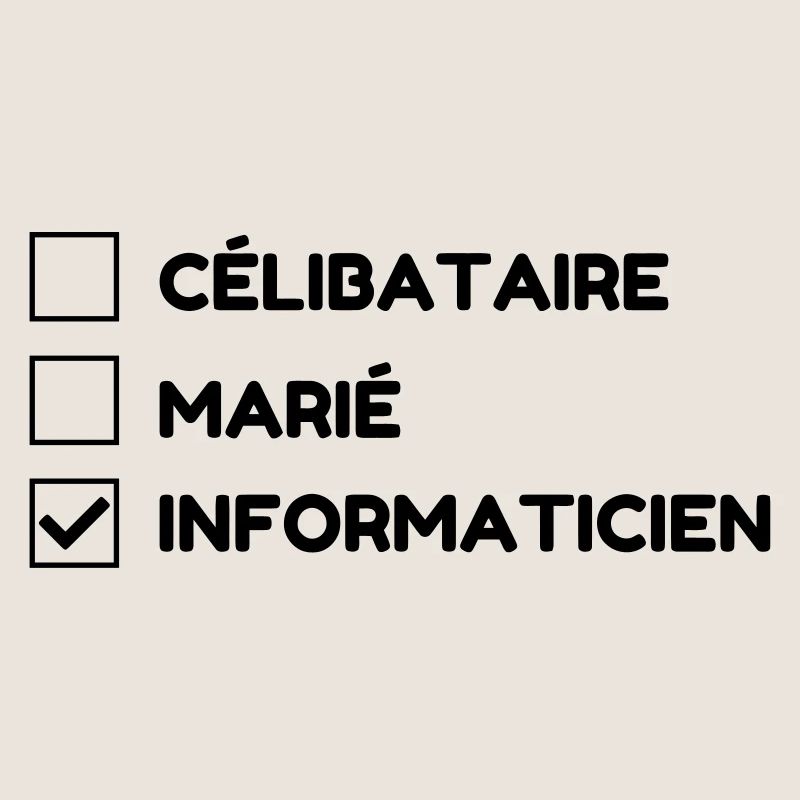 Computer Engineer Informatiker Informaticien