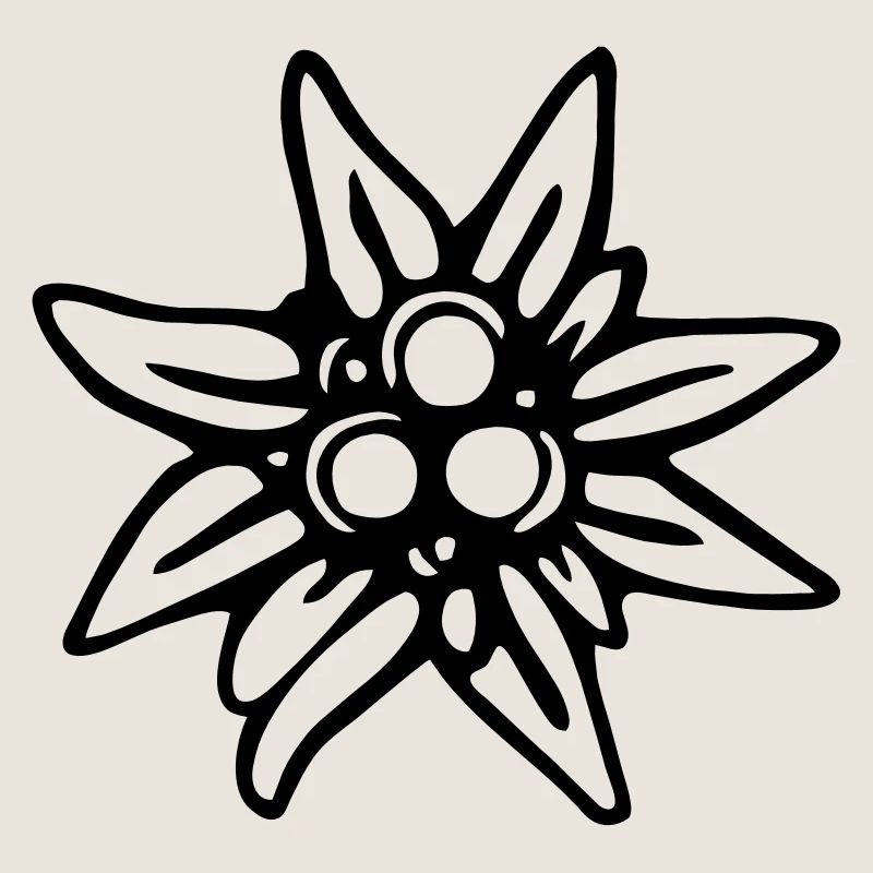 Edelweiss
